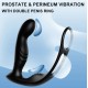 Estimulador De Próstata Con Anillo Doble Y App